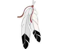 land acknowledgement feathers